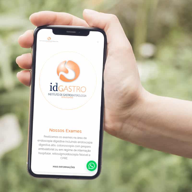 Webis - Negócios na Internet